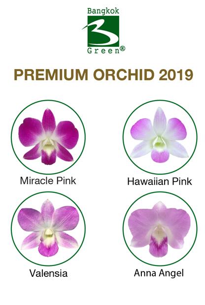 PREMIUM ORCHID 2019